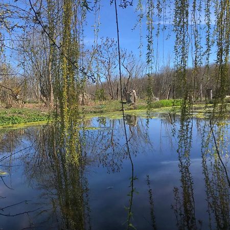 La Barcelle, Une Pause Nature. Perrigny  Esterno foto